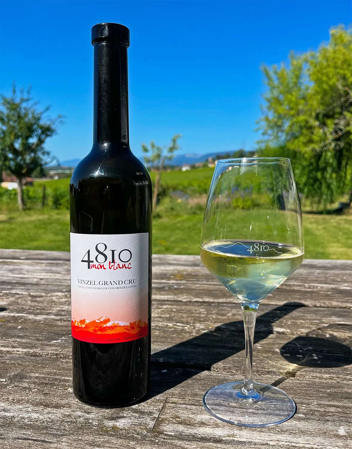 Chasselas